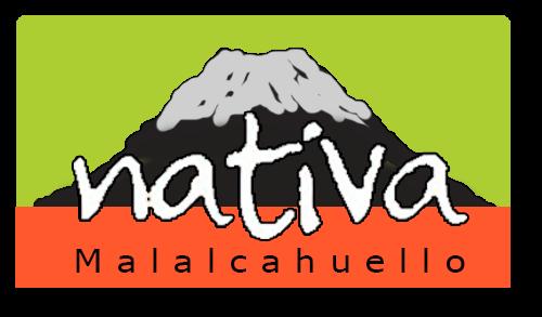 NativaMalalcahuello.cl