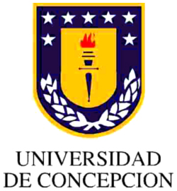 universidad de concepcion