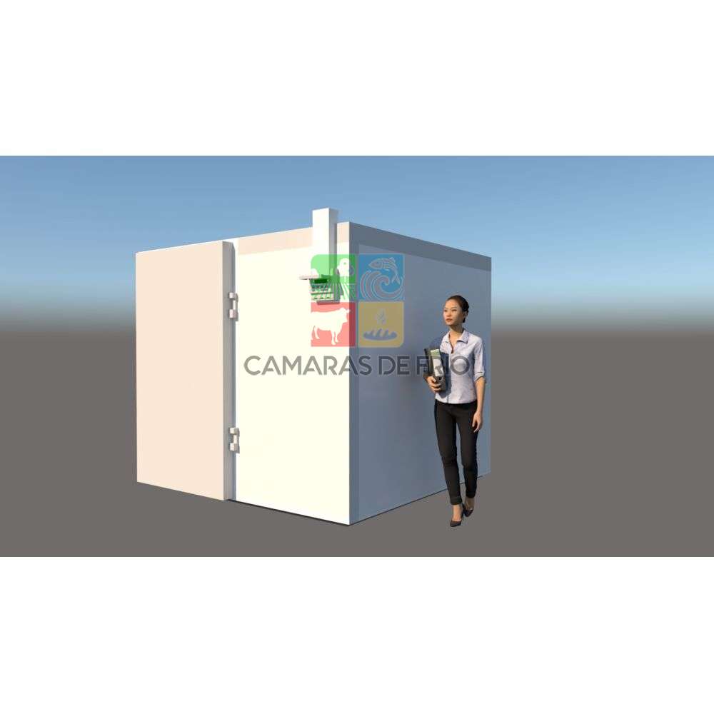 Camara de Frio Transportable de 2.50x2.30x2.10 MT -18 a 0 grados 